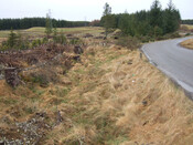 4 Gask 'henge' looking NNW from bank.jpg