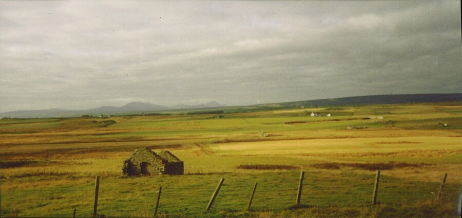 20070110140646_00002.jpg