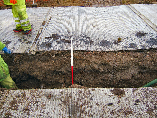2009 01.jpg