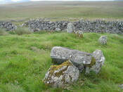 backlass stone circle 1 MHG873.JPG