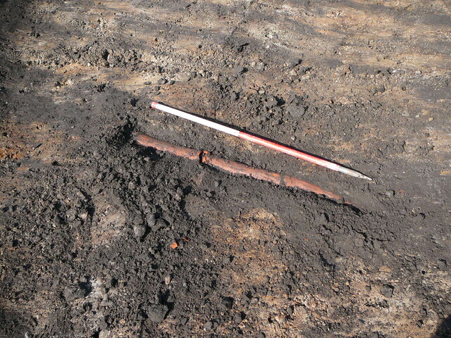 SHG24190_10.JPG