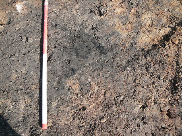 SHG24190_13.JPG