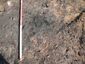 SHG24190_13.JPG