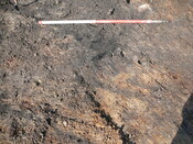 SHG24190_14.JPG