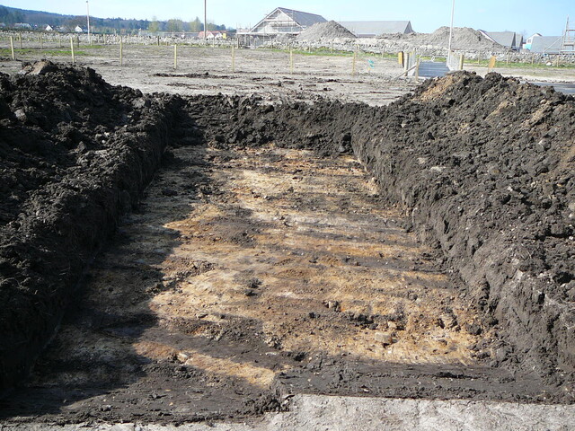 SHG24190_17.JPG