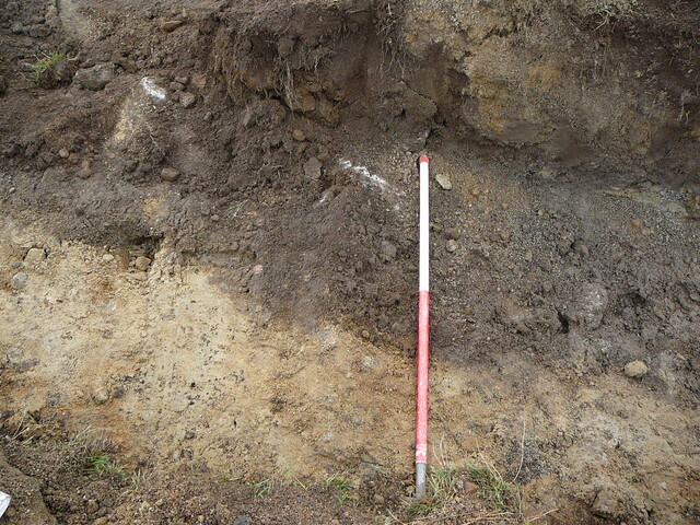 SHG24191_12.JPG