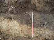 SHG24191_12.JPG