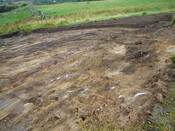 SHG24191_21.JPG