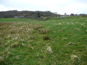 SHG24191_3.JPG
