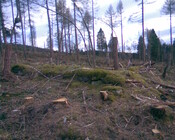 Image003.jpg