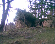 Image004.jpg
