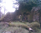 Image005.jpg
