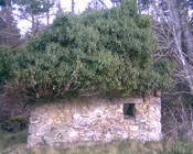 Image006.jpg