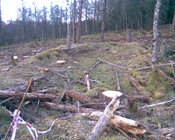 Image013.jpg