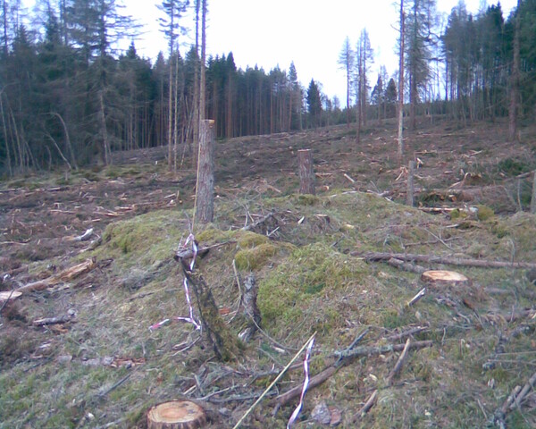 Image014.jpg