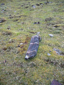 Beinn Edra002.jpg