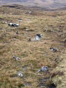 Beinn Edra012.jpg