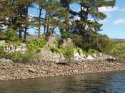 P1015576.jpg