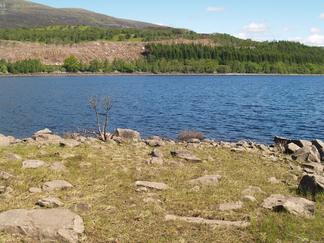 P1015580.JPG