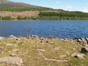 P1015580.JPG