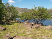 P1015581.JPG