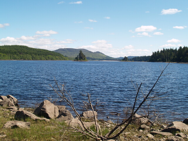 P1015583.JPG