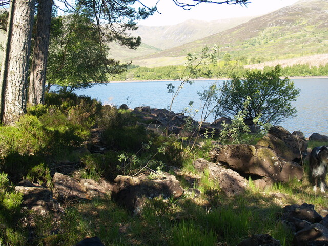 P1015584.JPG