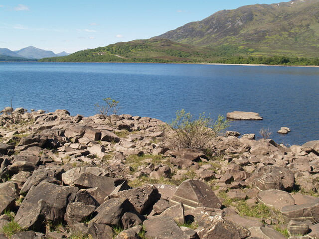 P1015587.JPG