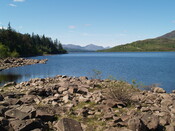 P1015588.JPG