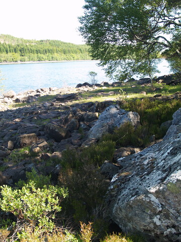 P1015589.JPG