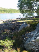 P1015589.JPG