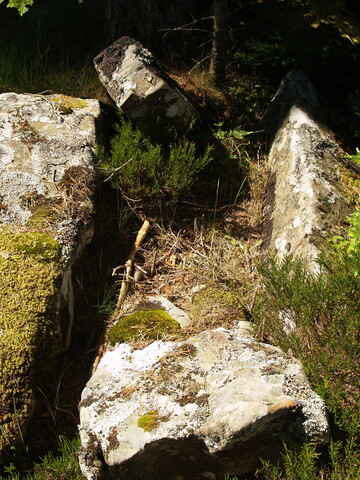 P1015591.JPG