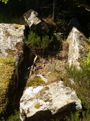 P1015591.JPG