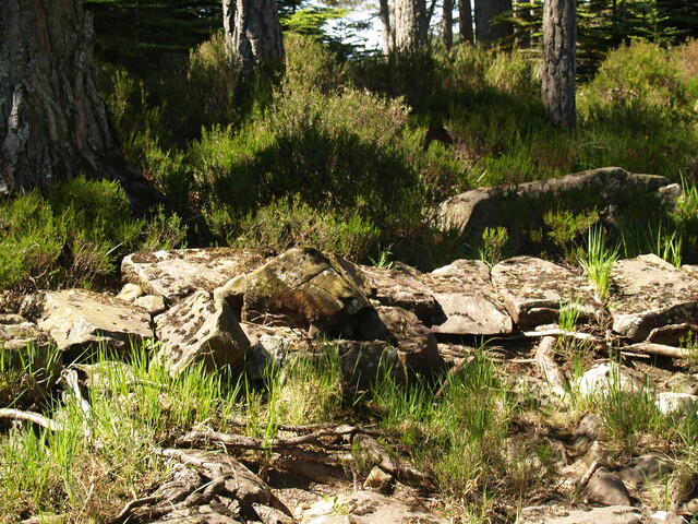 P1015593.JPG