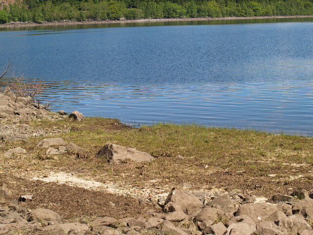 P1015597.JPG