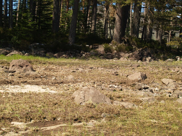 P1015599.JPG
