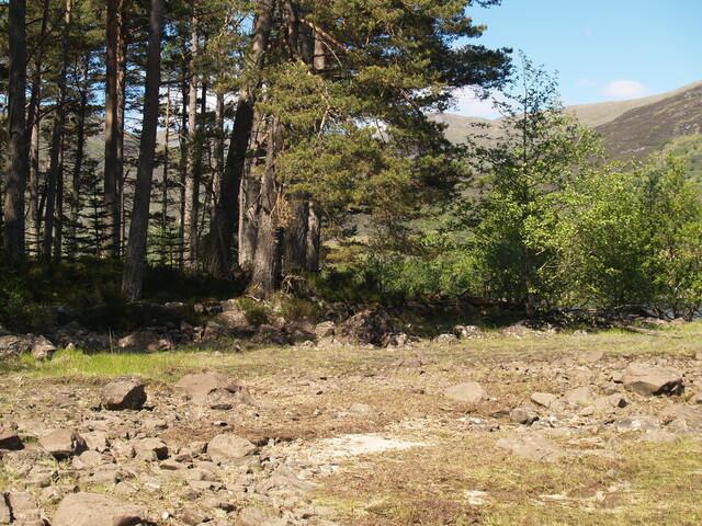 P1015600.JPG