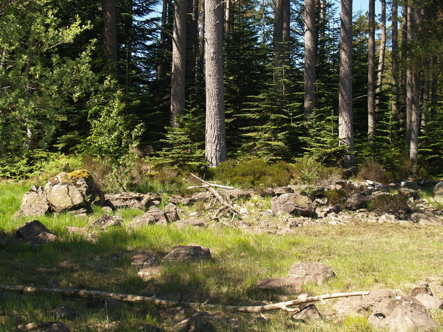 P1015601.JPG