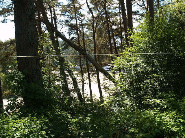 P1015628.jpg