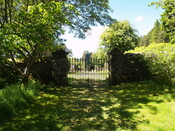 P1015646.jpg