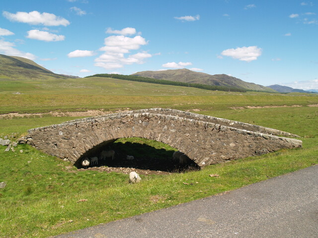 P1015660.jpg