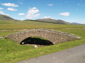 P1015660.jpg