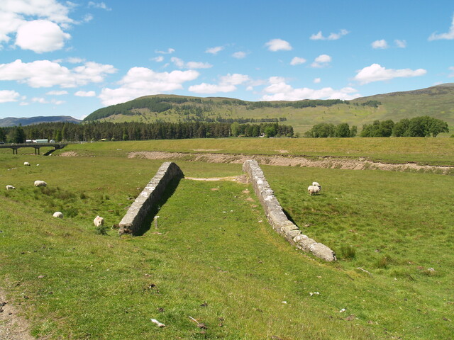 P1015661.jpg