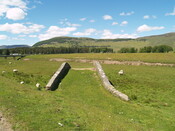 P1015661.jpg