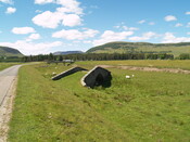 P1015662.jpg
