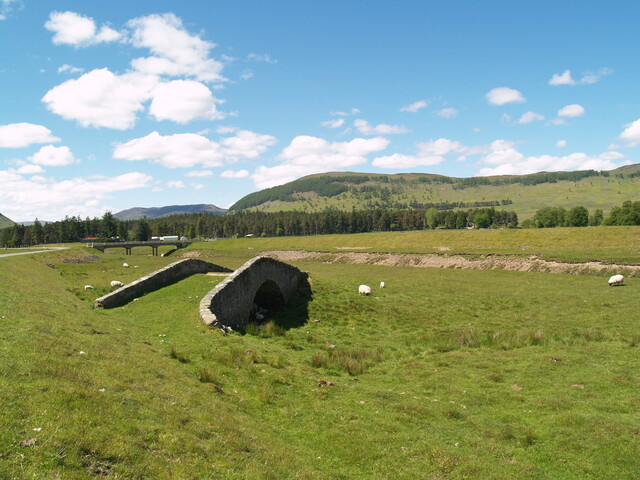 P1015663.jpg