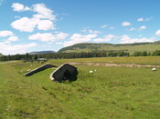 P1015663.jpg