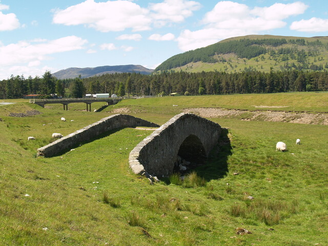 P1015664.jpg