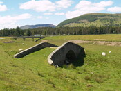 P1015664.jpg