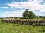 P1015677.jpg